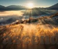 代理牛牛炸金花-代理牛牛炸金花，线上娱乐新宠