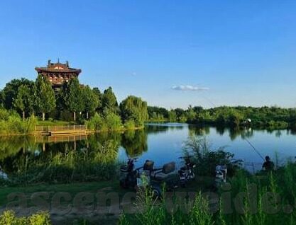 富力足球比分结果-富力足球比分结果背后的战术博弈与未来展望