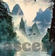 足球深网比分-探秘足球深网比分，数据背后的激情与策略博弈